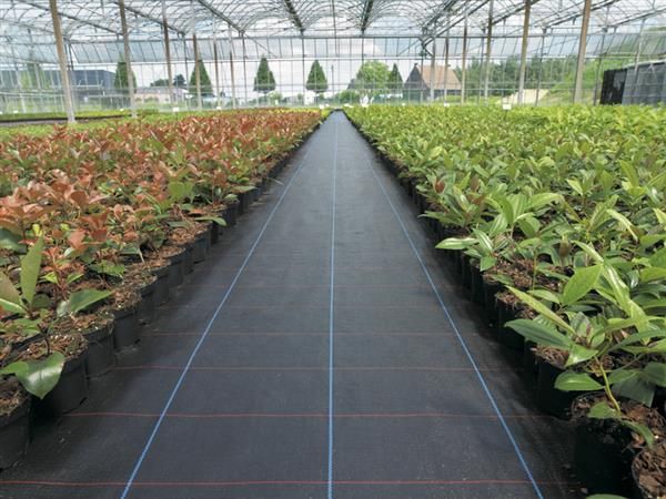 Agrotextiles